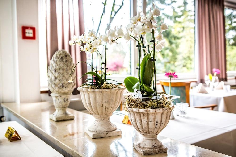 Vitalhotel Ascona Hotel Bad Bevensen